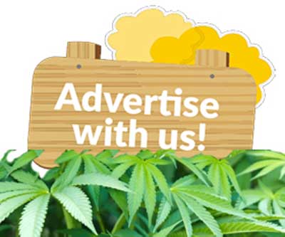 Your Ad Could Be Here Just Click The Image Below and Send Us Your Ideas, We Are Glad To Help