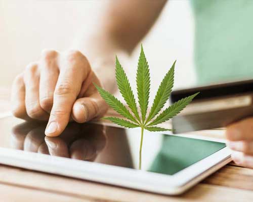 Marijuana Online Stores